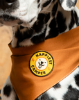 Scout's Honour Pty Ltd - Happiest Camper iron-on patch for dogs and cats