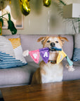 Play Pet Brands - Party Animal Collection 15pc set -FREE Merchandising Display