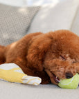 Lambwolf Collective - TENNIS POP // ENRICHMENT DOG TOY // Squeaky Ball Set