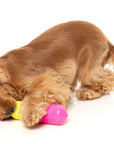 FuzzYard Chill Pill Dog Chew Toy