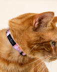 Lucy & Co. - Take a Bow Breakaway Cat Collar: L
