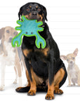 Tuffy Dog Toys - VIP Products - DuraForce Crab Tiger - Blue/Green, Durable, Squeaky Dog Toy