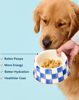 My Perfect Pet Boomer's Beef & Chicken