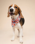 The Paws - Maritime Dog Bandana