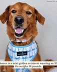 Lucy & Co. - Bowwow Wow! Reversible Harness: L