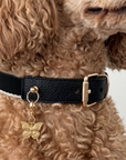 Lambwolf Collective - Papillon Collar Charm // Jewelry: Default Title