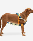 Zee.Dog - Voyage | SofterWalk Harness: Small