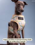 Lucy & Co. - Sunshine and Daffodils Reversible Harness