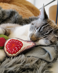 Lambwolf Collective - KITTY OLIVE + FIG