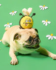 the furryfolks - Bee Happy Nosework Toy