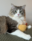 Lambwolf Collective - KITTY TEMPURA: Default Title