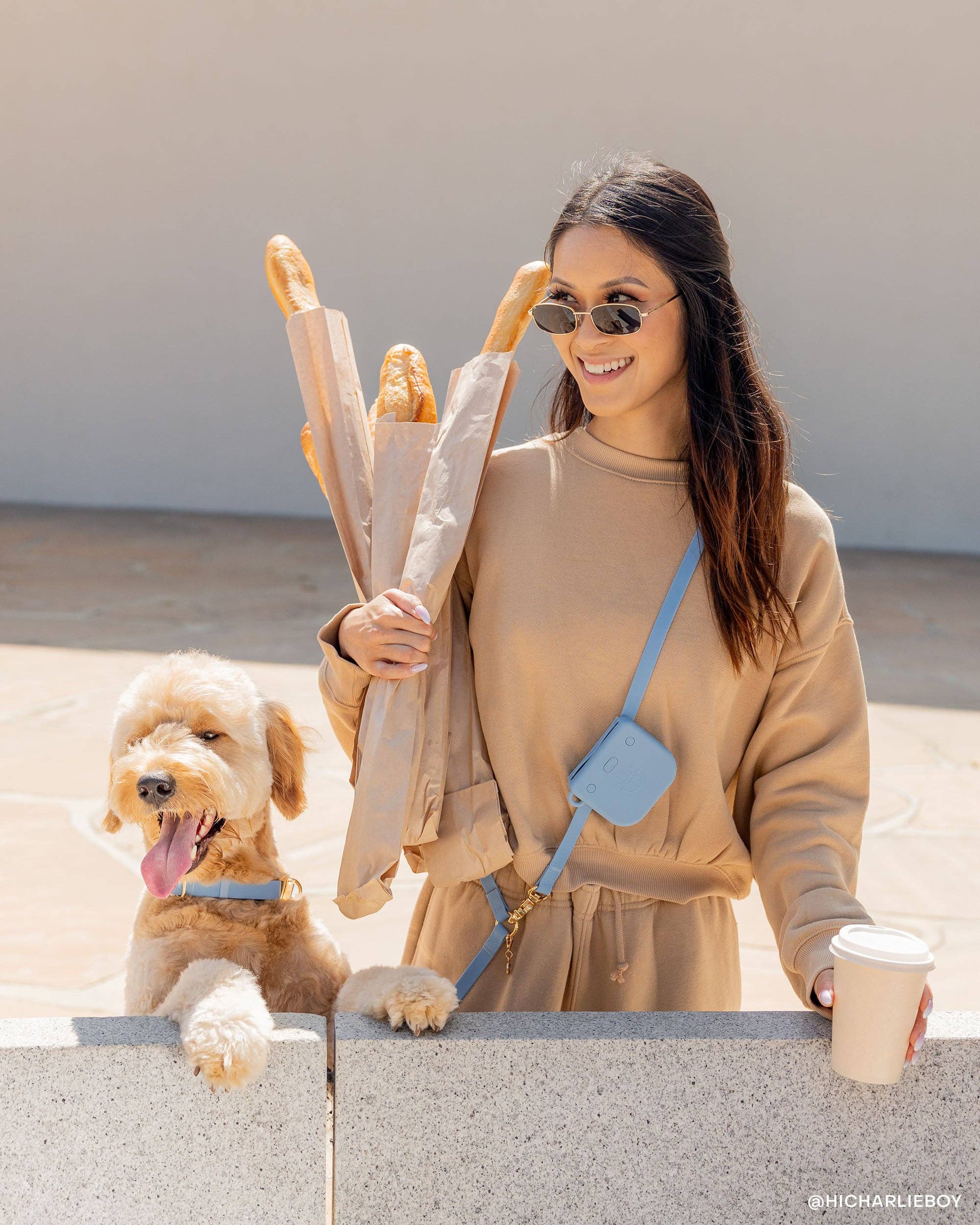 SUNNY TAILS - Malibu Blue Snap Dog Treat Pouch – The Modern Dog