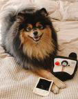 Lambwolf Collective - INSTANT CAMERA // ENRICHMENT DOG TOY