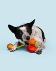 BARK Hairloom Tomatoes
