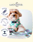 Lucy & Co. - Just Chill Leash: L