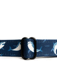 Lucy & Co. - Shark Attack Collar