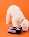 The Foggy Dog - Haunted House Interactive Snuffle Dog Toy