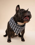 The Paws - Wicked Dog Bandana