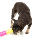 FuzzYard Chill Pill Dog Chew Toy