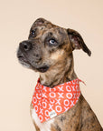 The Paws - XO Dog Bandana