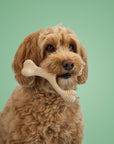 BetterBone Natural Dog Chews - VENISON Medium Density