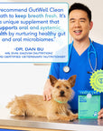 Native Pet - Native Pet GutWell Clean Breath, Dog Dental Care Supplement