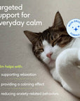 Native Pet - Calm Pillow Chews Anxiety & Stress Supplement for Cats