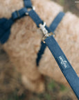 Lucy & Co. - Appley Ever After Corduroy Leash