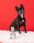 Polkadog - Holiday Mini Tube: Feliz Navidad - Dog Treats