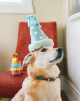 Play Pet Brands - Party Animal Collection 15pc set -FREE Merchandising Display