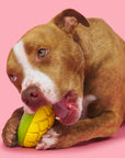 BARK Super Chewer Go Mango Dog Chew Toy L