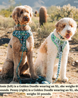 Lucy & Co. - Lucy & Co. x Parks Project Power to the Parks No-Pull Harness
