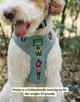 Lucy & Co. - Lucy & Co. x Parks Project Adventures with Friends Reversible Harness