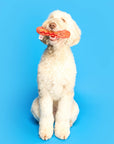 the furryfolks - Hot Doggie Nosework Toy