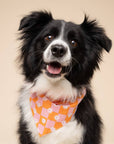 The Paws - Hula Dog Bandana