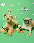 the furryfolks - Bee Happy Nosework Toy