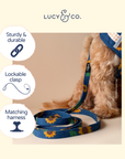 Lucy & Co. - Sunflower Power Denim Leash