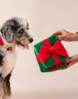 The Foggy Dog - Holiday Present Interactive Snuffle Dog Toy