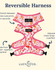 Lucy & Co. - Howdy, Honey Reversible Harness