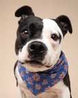 The Paws - Firecrackers 4th of July Dog Bandana