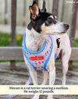 Lucy & Co. - The What's the Scoop Reversible Harness