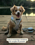 Lucy & Co. - Match Point No-Pull Harness