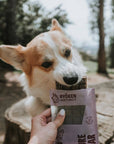 RYŌKEN INSTINCT - Lamb Treat & Snack Bar for Active Dogs - Energy & Recovery