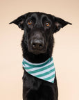 The Paws - Gili Dog Bandana