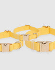 Sunny Tails Dandelion Yellow Waterproof Dog Collar