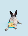 BARK Smelly Wellies