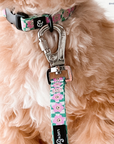 Lucy & Co. - Just Chill Leash: L