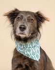 The Paws - Tennis Dog Bandana