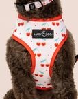 Lucy & Co. - The Cheery Cherries Reversible Harness