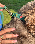 Furei Pets - Moodies Collar: Sea Blue
